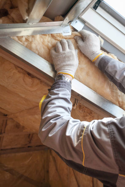 Best Residential Insulation in Point Pleasant, WV