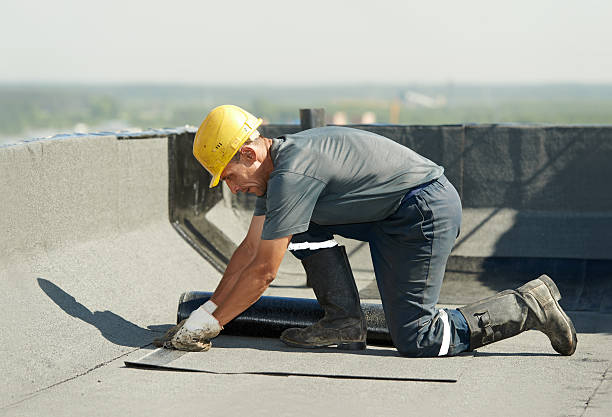 Best Specialized Insulation Services in Point Pleasant, WV