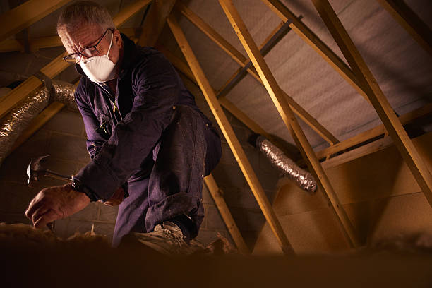 Best Residential Insulation in Point Pleasant, WV