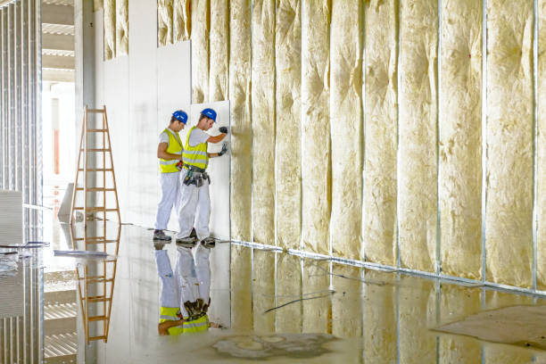 Best DIY Insulation Kits and Guidance in Point Pleasant, WV